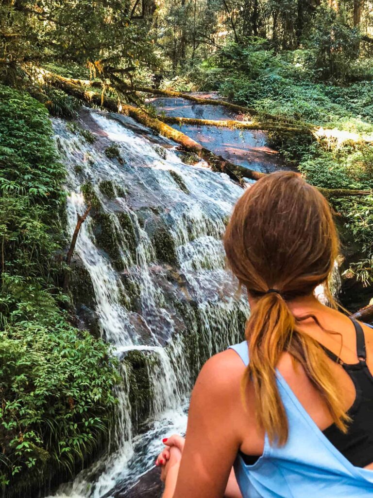 Hiking through the cloud forest at Doi Inthanon national park during a 4-day visit to Chiang Mai