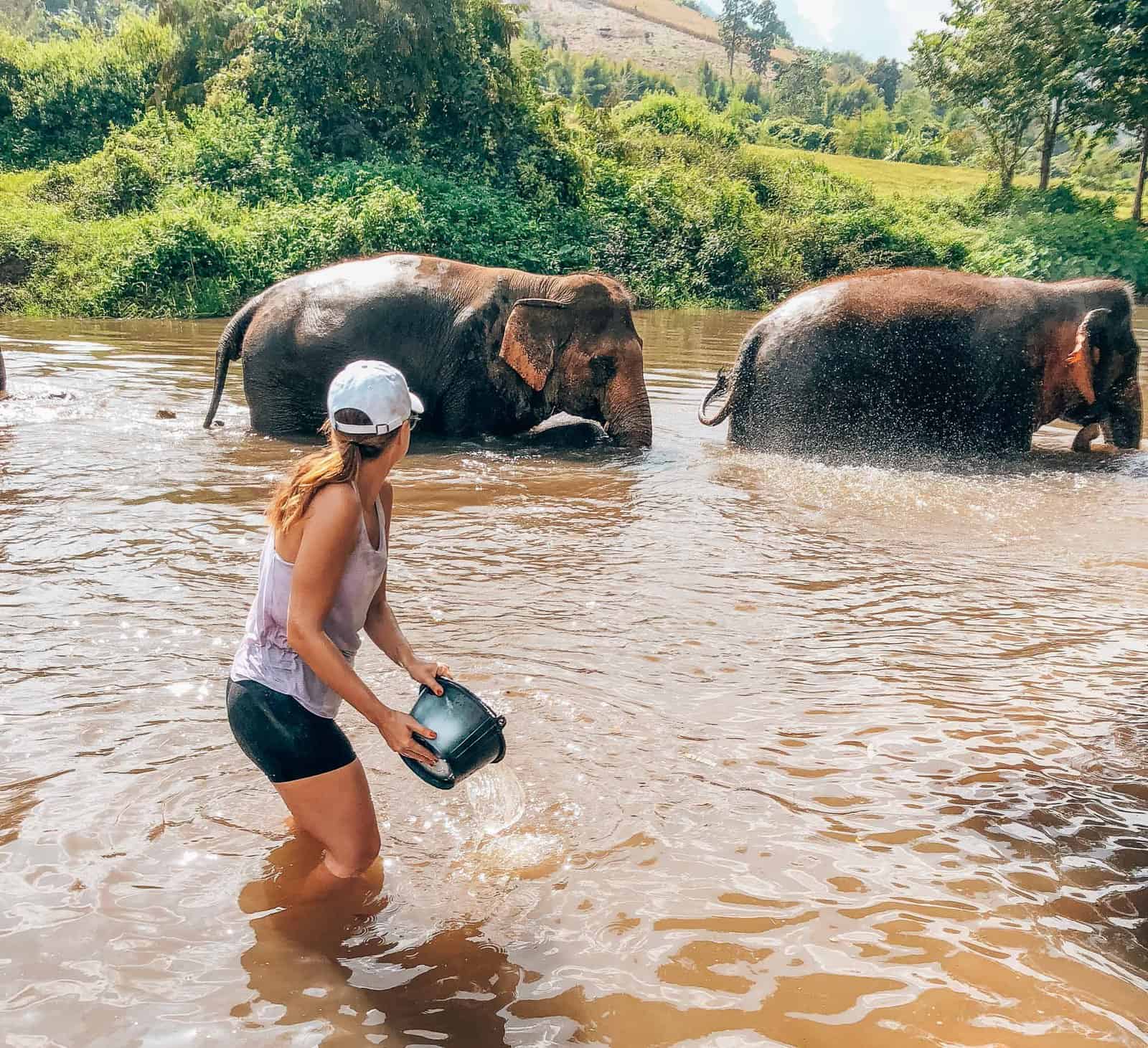 Bathing elephants in the river during a visit to Chiang Mai's Elephant Nature Park sanctuary