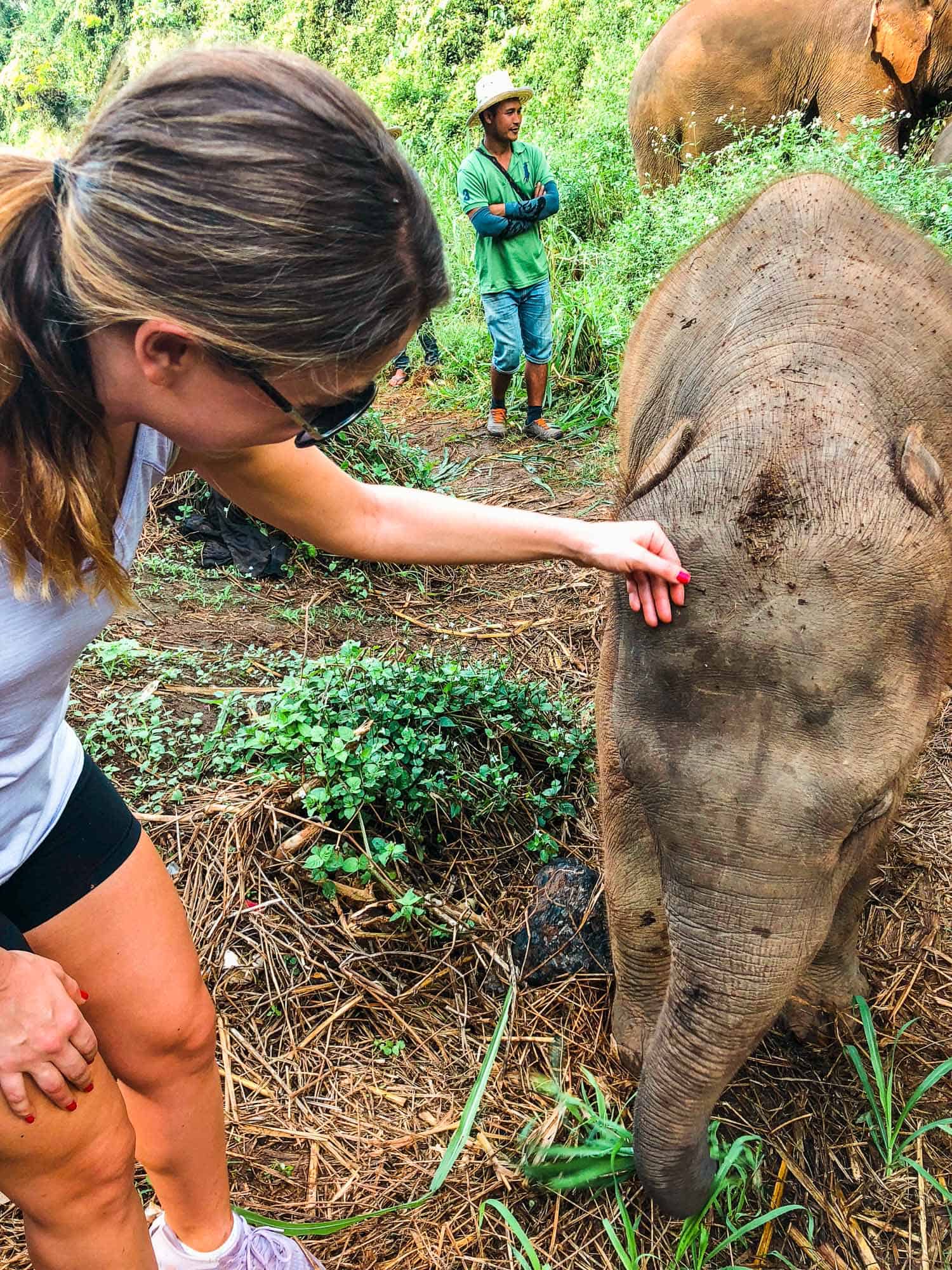 Petting the trunk of an elephant during a jungle walk in Chiang Mai at Elephant Nature Park