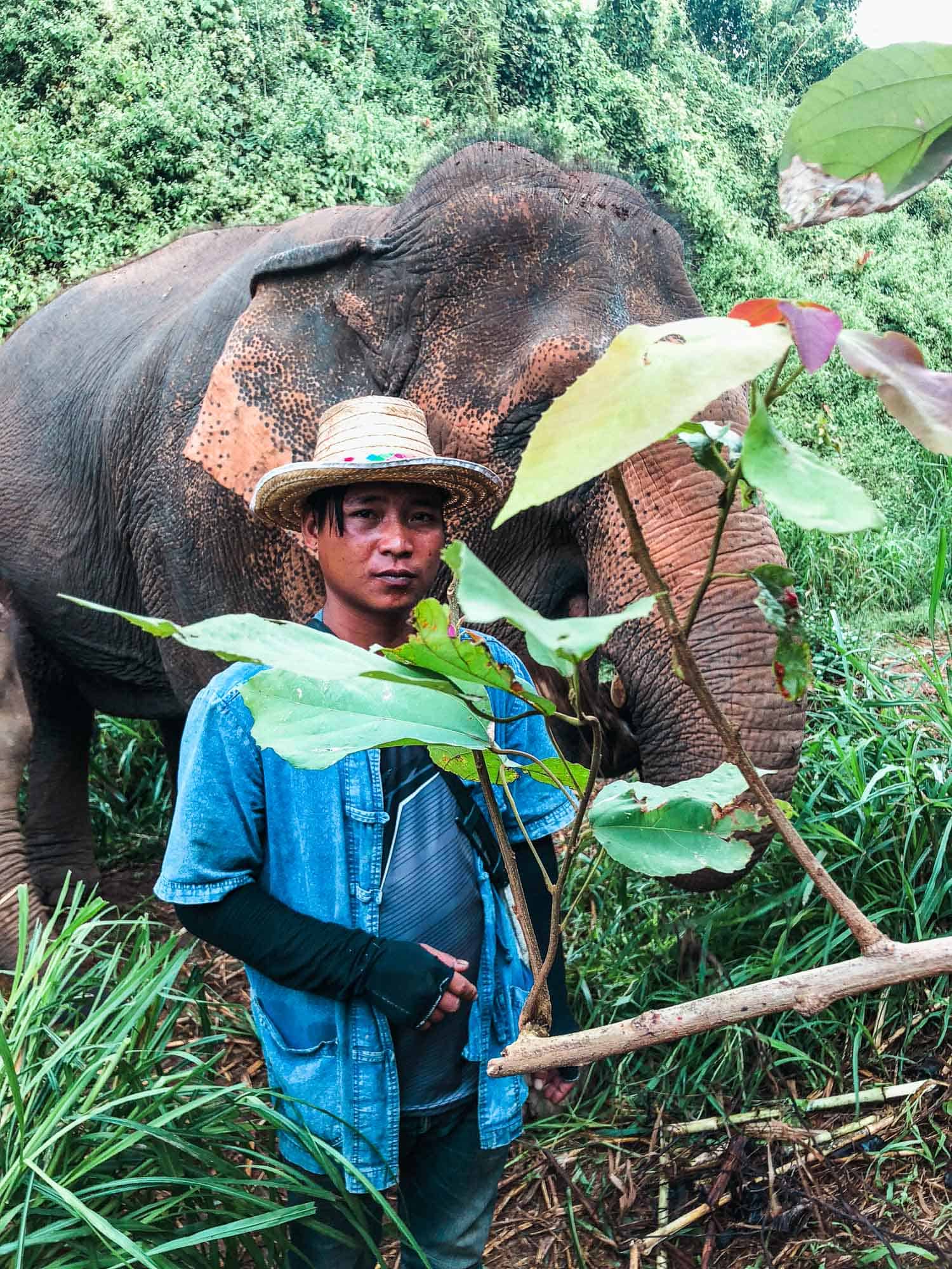 A mahout with his elephant in the jungle in Chiang Mai