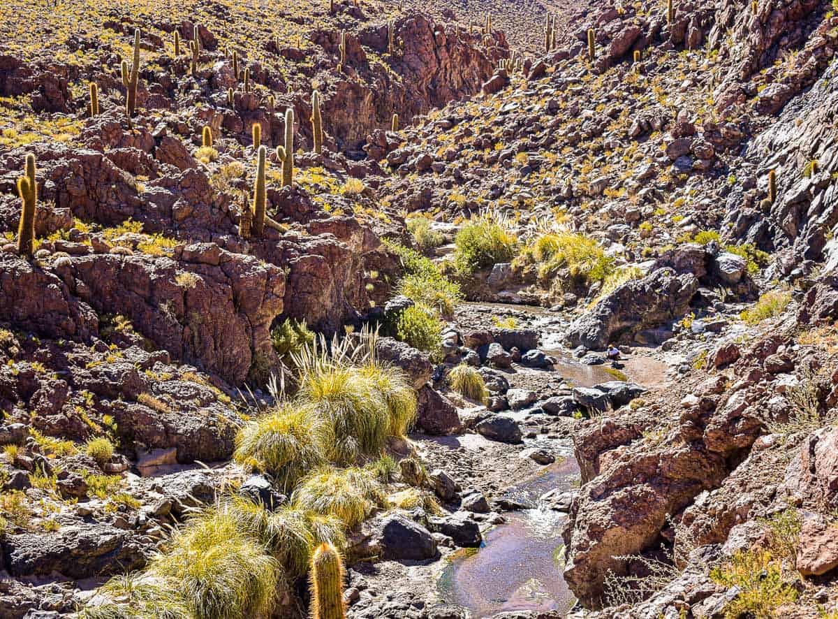 Top Reasons To Visit Chile's Atacama Desert 