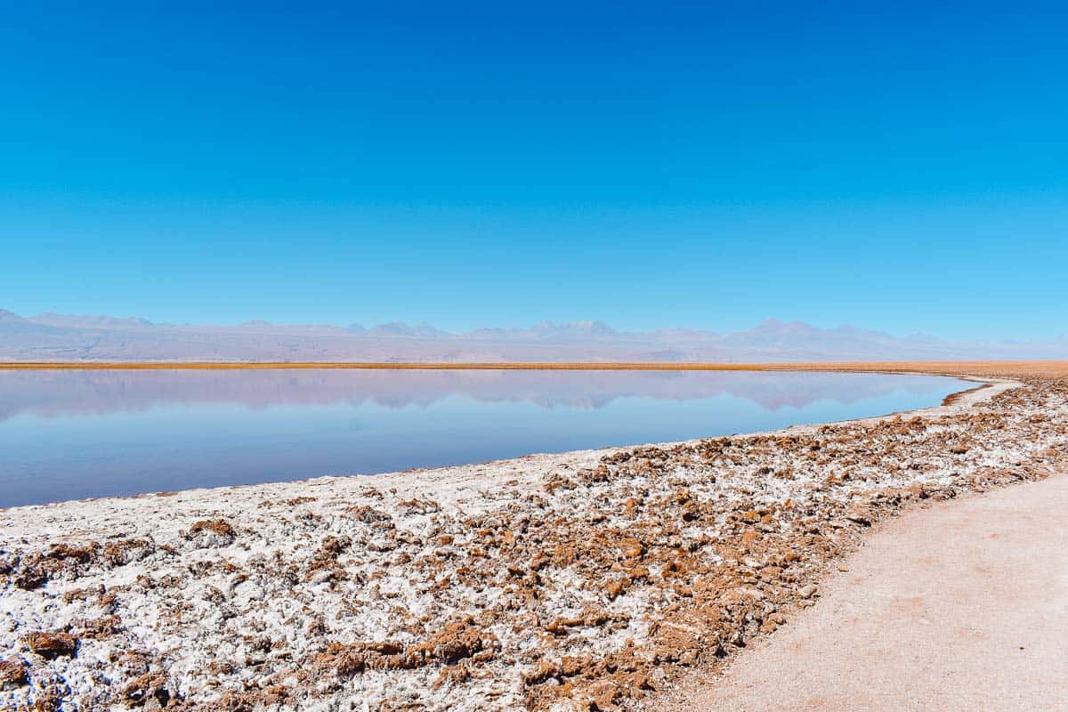 Tebinquinche lagoon in Atacama Chile