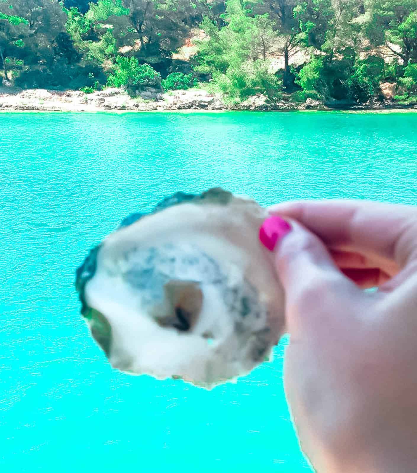 Fresh oysters from the Adriatic sea off the coast of Croatia