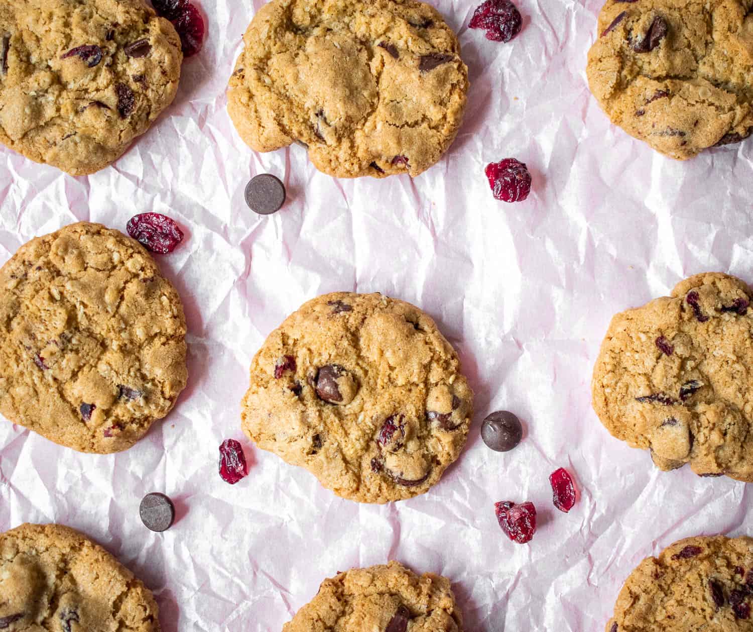 Rows of gluten-free chocolate cranberry cookies