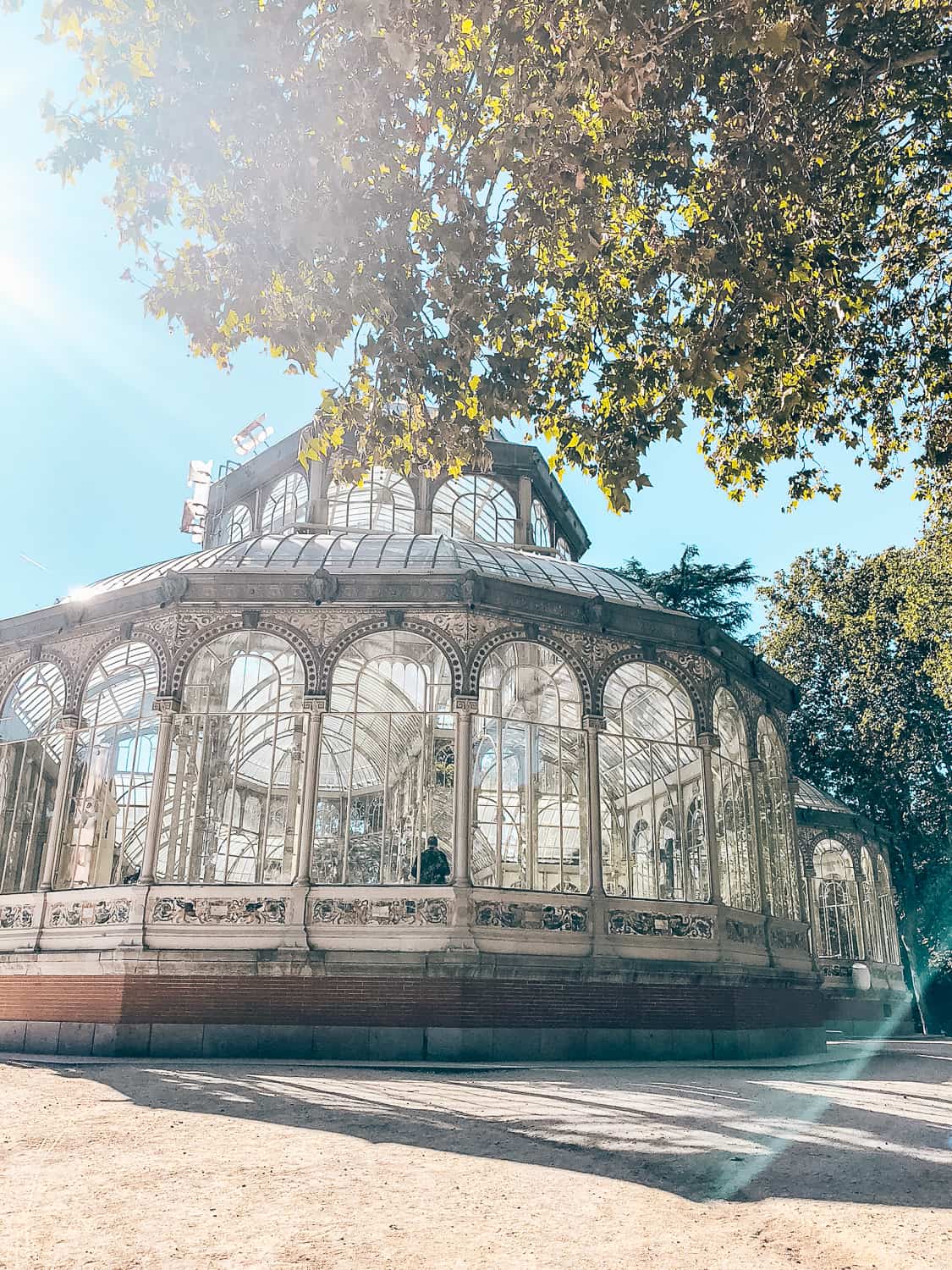 Retiro Park in Madrid - What to see and do - Citylife Madrid
