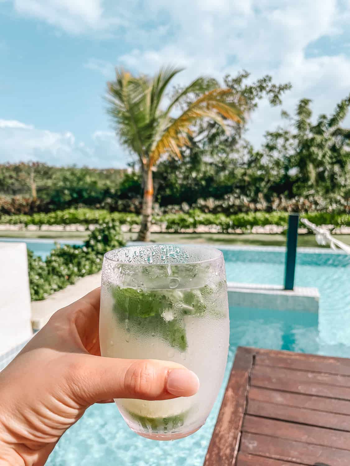 Finest All-Inclusive Resort Punta Cana Hotel Review | Enjoying a cocktail in our junior swim up suite 